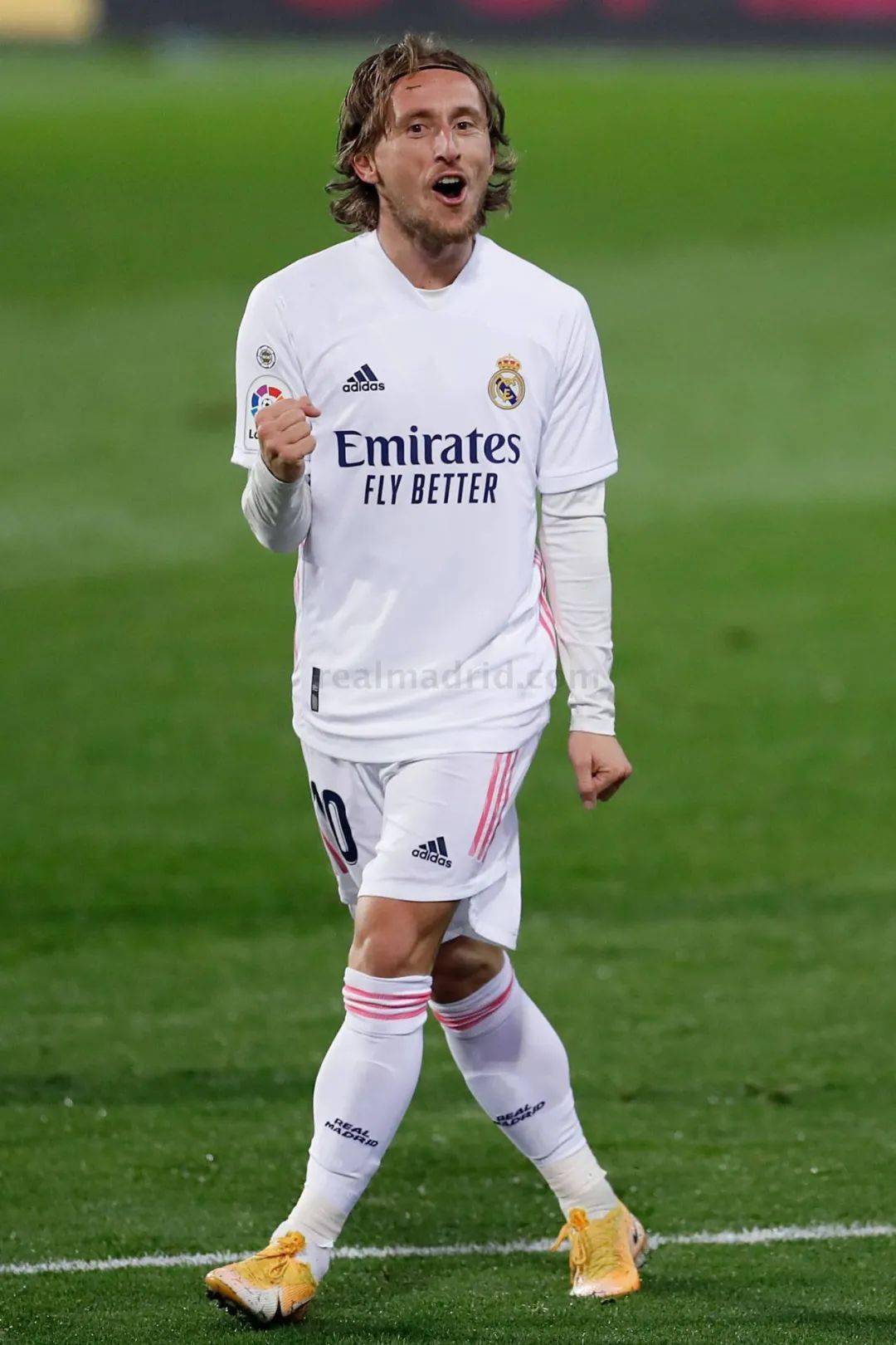 了基米希 了基米希